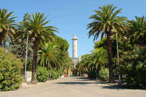 Riviera delle Palme